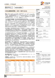 中报业绩略超预期,迈向一流农化企业
