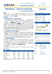 开立医疗2020半年报点评：短期业绩承压，内镜业务不改增长态势