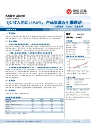 中报点评：Q2收入同比+19.6%，产品渠道双引擎联动