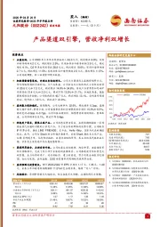 产品渠道双引擎，营收净利双增长
