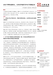 中报点评：2020年弹性看黄石，未来空间看汽车电子高端应用