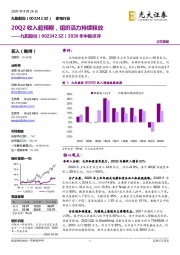 2020年中报点评：20Q2收入超预期，组织活力持续释放