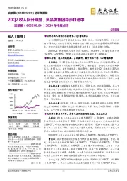 2020年中报点评：20Q2收入回升明显，多品牌集团稳步打造中