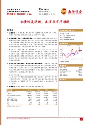 业绩恢复迅速,各项目有序推进