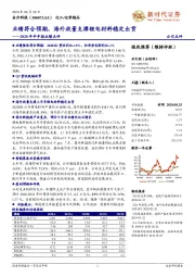 2020年半年报业绩点评：业绩符合预期，海外放量支撑锂电材料稳定出货