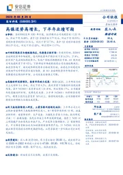 高镍逆势高增长,下半年业绩可期