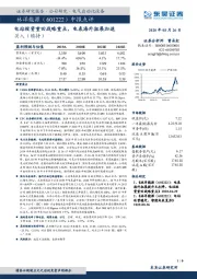 中报点评：电站投资重回战略重点，电表海外拓展加速