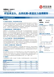 籽坚果龙头,品类拓展+渠道发力值得期待