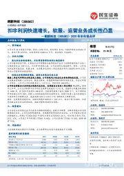 2020年半年报点评：扣非利润快速增长，软服、运营业务成长性凸显