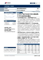 2020年半年度报告点评:上半年产销不佳但不改长期趋势,下半年或将迎来爆发