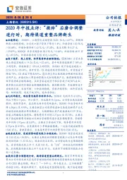 2020年中报点评：“换帅“后磨合调整