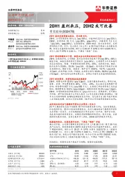20H1盈利承压,20H2或可改善