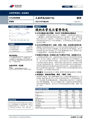 2020年半年报点评：碳纳米管龙头蓄势待发