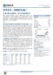 中报业绩大幅增长，国内市场持续发力