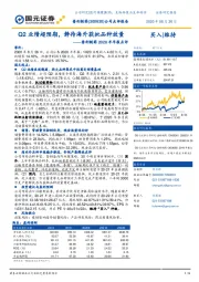 普利制药2020半年报点评：Q2业绩超预期，静待海外获批品种放量