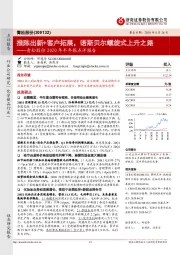 青松股份2020年半年报点评报告:推陈出新+客户拓展,诺斯贝尔螺旋式上升之路