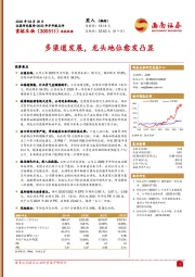 多渠道发展，龙头地位愈发凸显