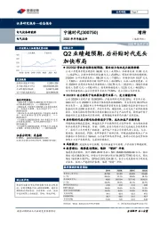 2020年半年报点评：Q2业绩超预期，后补贴时代龙头加快布局