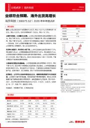 2020年半年报点评：业绩符合预期，海外出货高增长