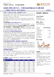 2020年中报点评：2020H1营收大涨76%，N型电池和背板龙头开启新征程