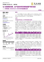2020年半年度报告点评:Q2业绩表现亮眼,全产品线布局深度受益国产替代加速