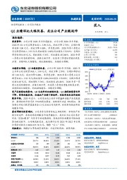 Q2业绩环比大幅改善，关注公司产业链延伸