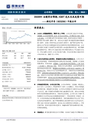 中报点评：2020H1业绩符合预期，IGBT龙头未来发展可期