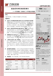 半年报点评报告：拨备前利润实现较高增长