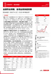 2020年中报点评：业绩符合预期,各项业务快速发展
