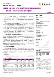 2020年半年报点评:毛利率大幅上升,扩产逻辑下稳态利润有望维持高位