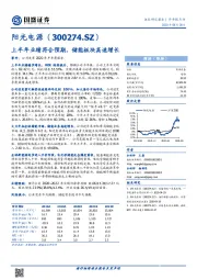 上半年业绩符合预期，储能板块高速增长