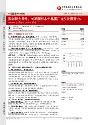 中芯国际中报点评报告:盈利能力提升,长期看好本土晶圆厂龙头发展潜力。