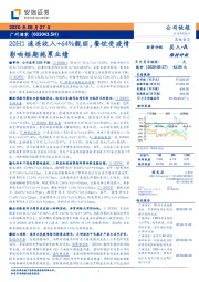 20H1速冻收入+64%靓丽，餐饮受疫情影响短期拖累业绩