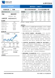 国内市场快速增长，产品品类逐渐丰富