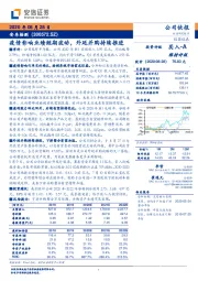 疫情影响业绩短期波动，外延并购持续推进