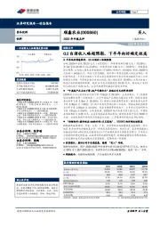 2020年中报点评：Q2白酒收入略超预期，下半年向好确定性高