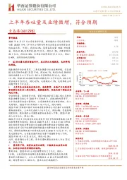 上半年吞吐量及业绩微增,符合预期
