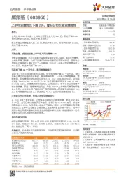 上半年业绩同比下降26%，看好公司长期业绩弹性