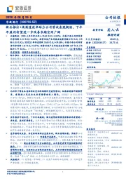 新品推出+高渠道效率助力公司营收表现靓丽，下半年盈利有望进一步改善长期空间广阔