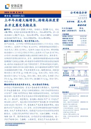上半年业绩大幅增长,持续高强度资本开支奠定长期成长
