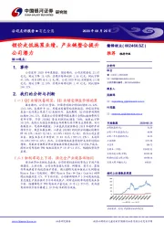 锂价走低拖累业绩，产业链整合提升公司潜力