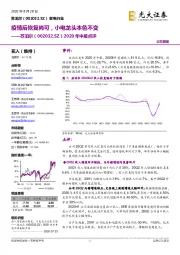 2020年中报点评：疫情后恢复尚可，小电龙头本色不变