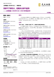 2020年中报点评：高景气下弹性大，短期关注景气趋势