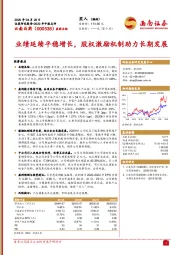 业绩延续平稳增长,股权激励机制助力长期发展