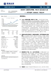 中报点评：2020H1业绩符合预期，MLCC龙头拐点已来