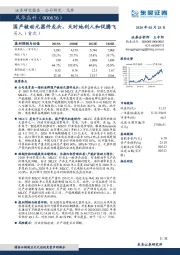 国产被动元器件龙头，天时地利人和促腾飞