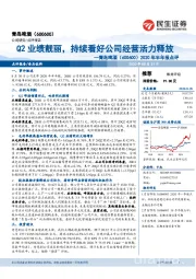 2020年半年报点评：Q2业绩靓丽，持续看好公司经营活力释放