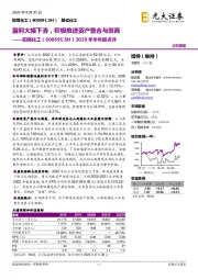 2020年半年报点评：盈利大幅下滑，积极推进资产整合与剥离