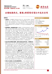 业绩短期承压，整装+新零售有望打开成长空间