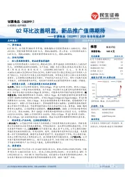 2020年半年报点评：Q2环比改善明显，新品推广值得期待